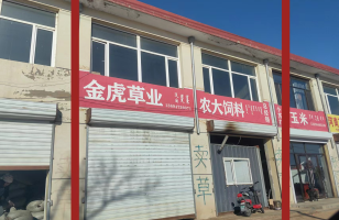 四子王旗乌兰花镇王府路北段路东（冷库北路西,金虎草业）南起第二、三间房产